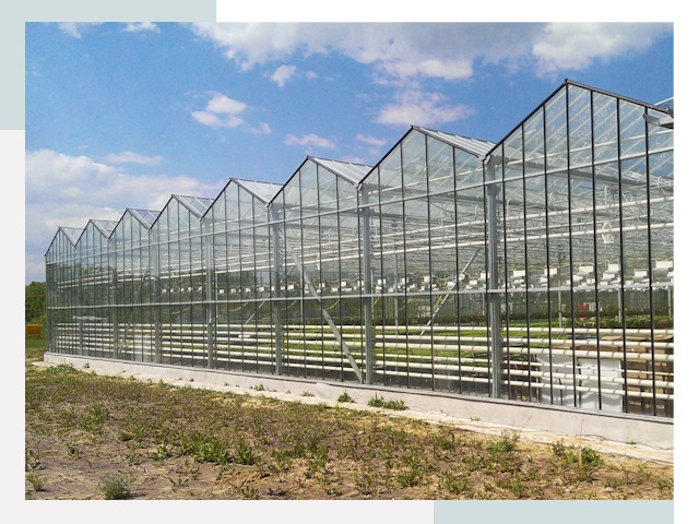 Строительство теплиц в Мытищи от 609 руб. за м²