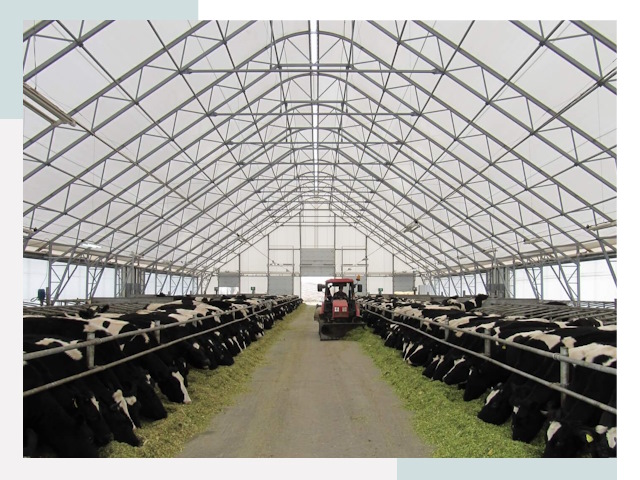 Тентовые коровники в Мытищах от 609 руб. - Надежно и доступно